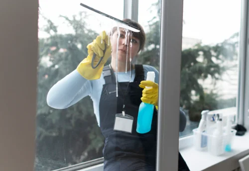 Nettoyage de vitres intérieures et extérieures à Nestier